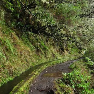 Foto Arquivo