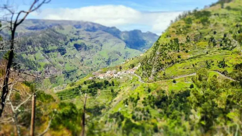 Fotos Estefânia Câncio
