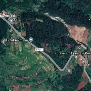 Foto Google Maps