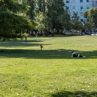 Foto DR/CMLisboa