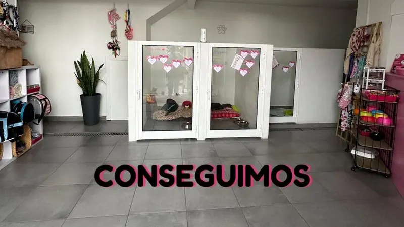 Fotos DR/Ajuda a Alimentar Cães