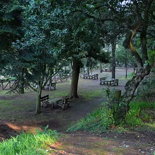 Parque Florestal do Pico das Pedras