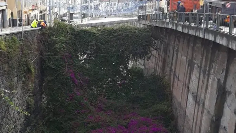 Fotos A. Cunha
