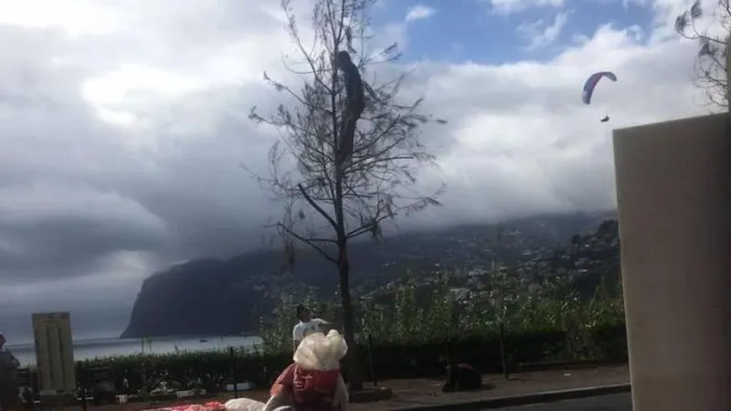 Fotos DN/Madeira
