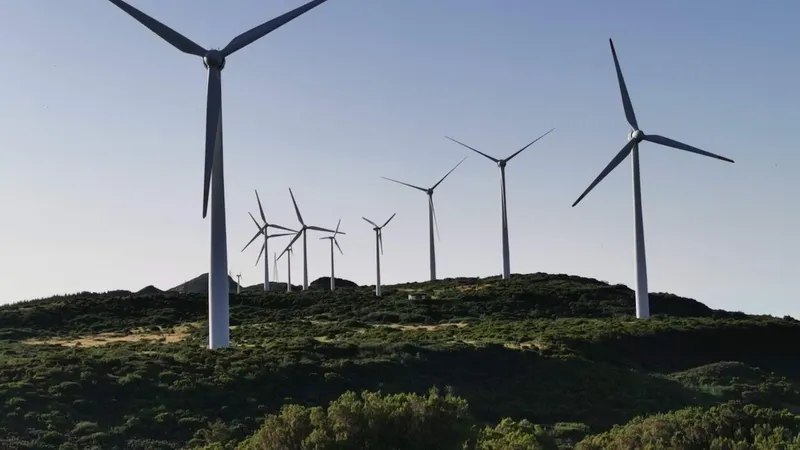 A energia eólica tem sido a fonte renovável que mais cresce este ano.