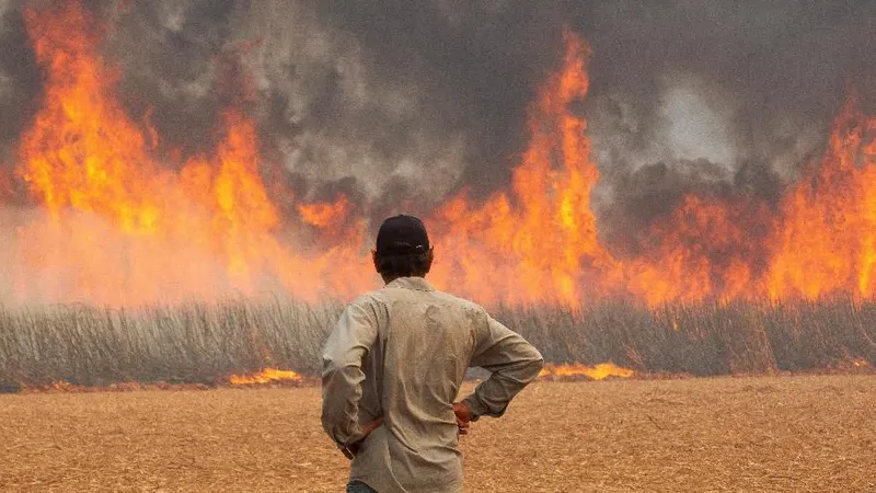 Foto DR