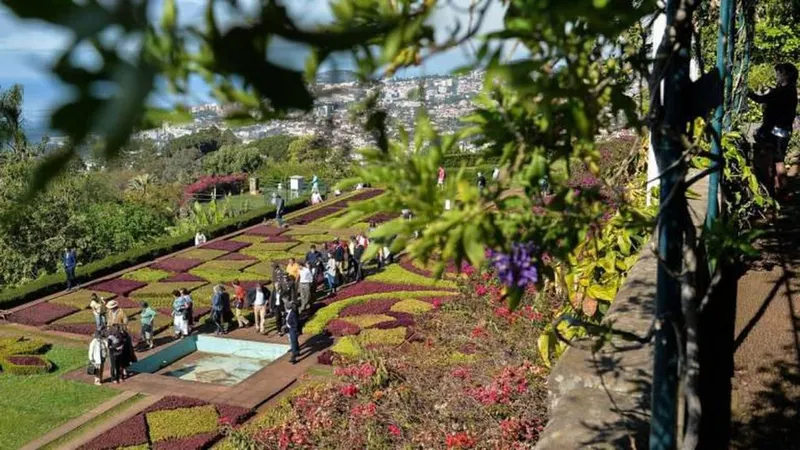 O Jardim Botânico da Madeira vai receber a visita desta comitiva.  Foto ASPRESS