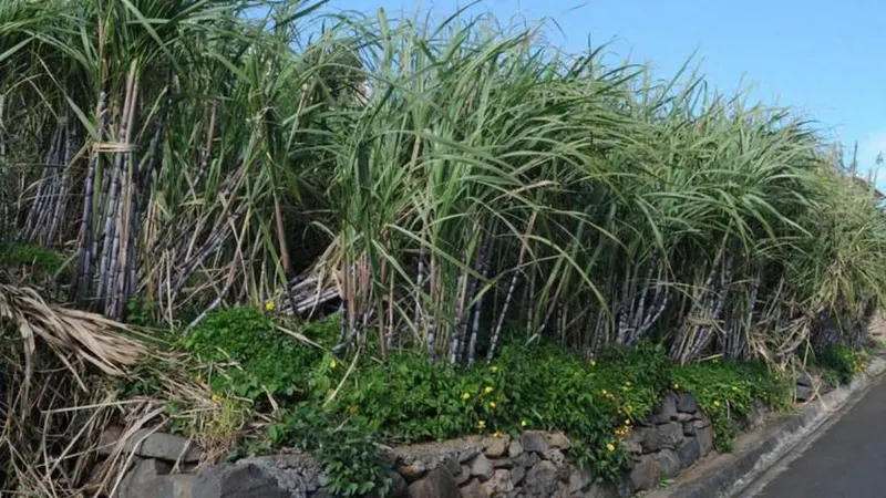 Foto Arquivo