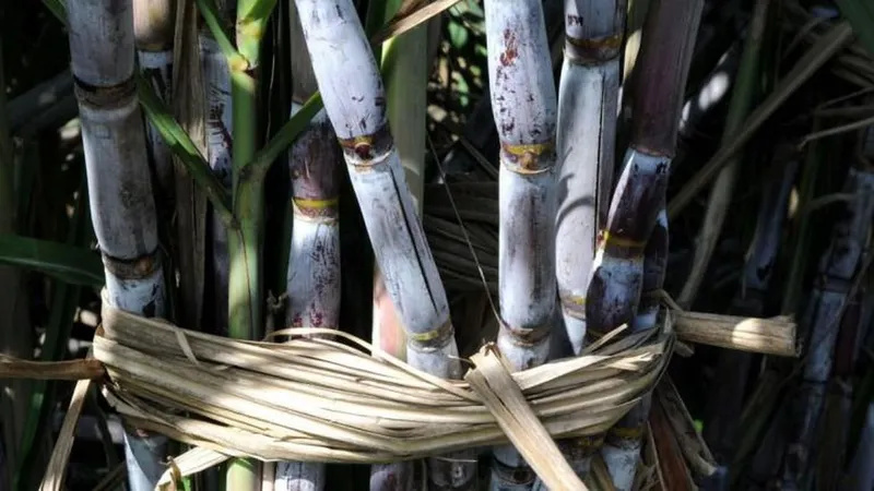 Foto Arquivo