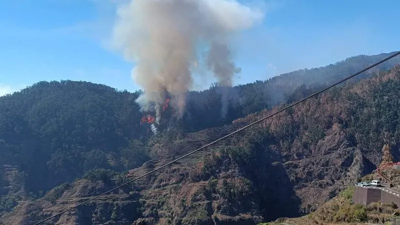 Imagem de ontem aquando do início do fogo a meio da tarde.&nbsp; &nbsp;Foto DR