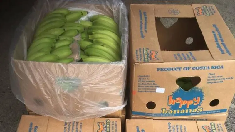 Ao que chegamos?  Importamos da Costa Rica para consumir ou para exportar?