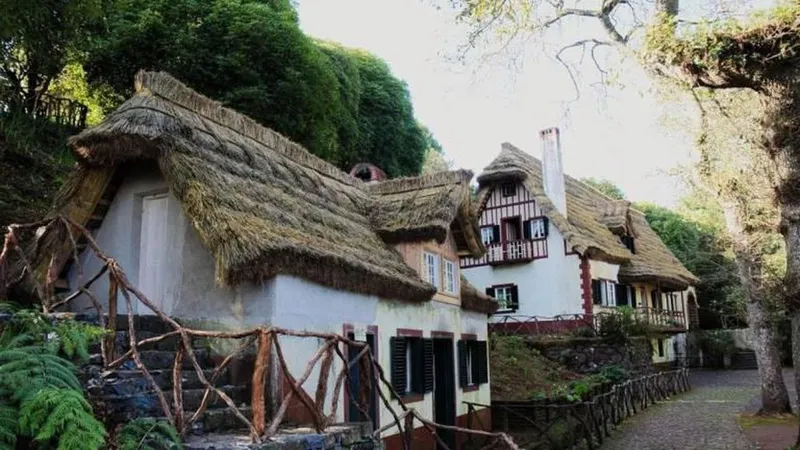 Foto wanderingowls.com