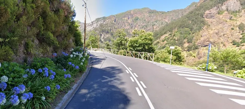 Imagem Google Maps