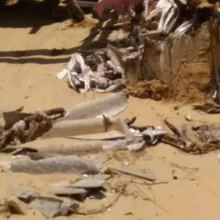 Lixo e amianto na praia. FOTO ‘OS VERDES’