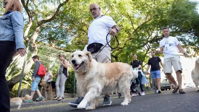 VII Cãominhada do Funchal (2)