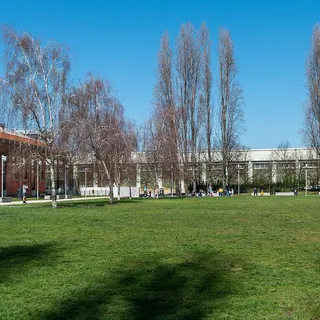 Foto DR/CMLisboa