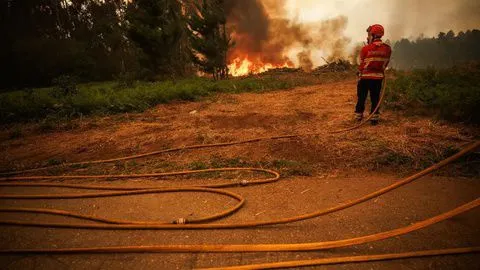 São recorrentes, ano após ano, os incêndios na zona do Pomar da Rocha, na Ribeira Brava.&nbsp;