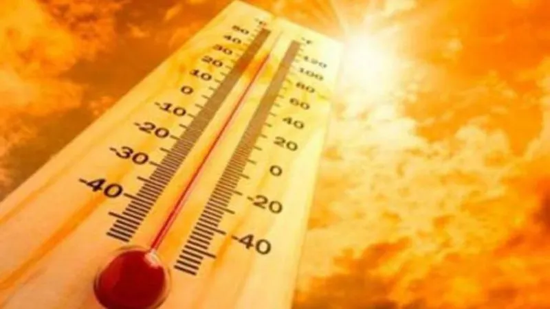 Prevê-se uma subida da temperatura do ar para valores máximos entre 25 e 30 graus Celsius.