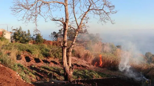 O fogo no Sítio do Jangão.