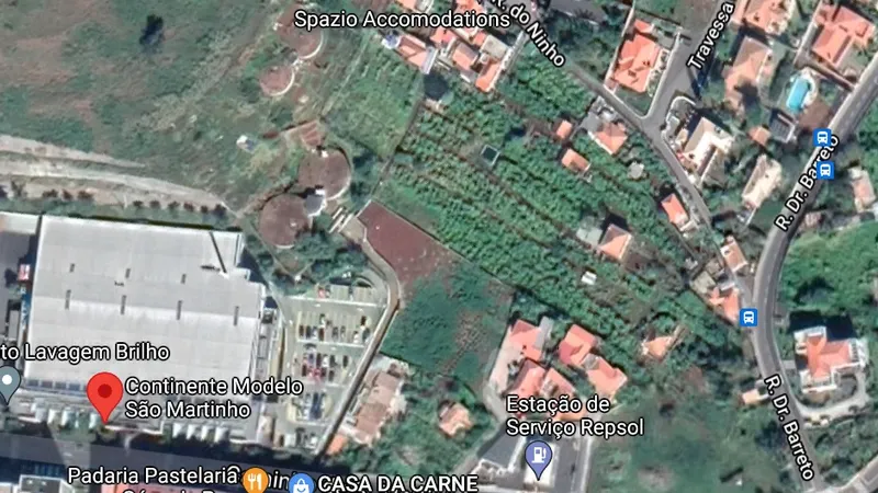 Foto Google Maps