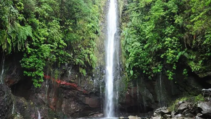 Foto arquivo