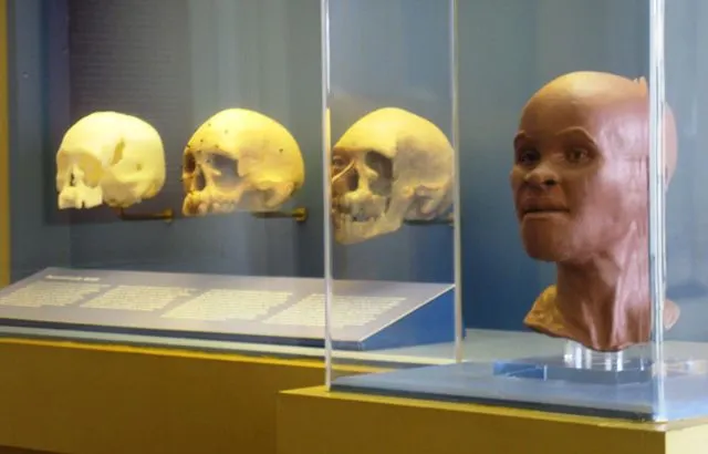 Até à data, o fóssil mais antigo descoberto nas Américas era o crânio de Luzia