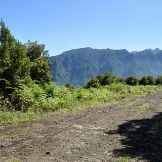 O projecto visava a transformação de um caminho de terra batida
numa via rodoviária pavimentada, entre o sítio das Ginjas, em São Vicente, e o Paul da Serra, atravessando Floresta Laussilva, zona protegida classificada como Rede Natura 2000 e Património da Humanidade
pela UNESCO.