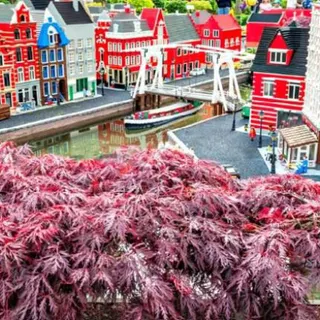 4. Viagem com crianças para Copenhaga - A capital da Dinamarca é um dos destinos mais coloridos da Europa. Além disso, é uma cidade segura, plana e pequena, ideal para quem está a viajar com bebés ou crianças muito pequenas e que necessitem de carrinho. E se no Verão podem desfrutar dos parques, no Inverno aproveitem para fazer um boneco de neve.