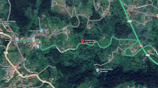 Foto Google Maps