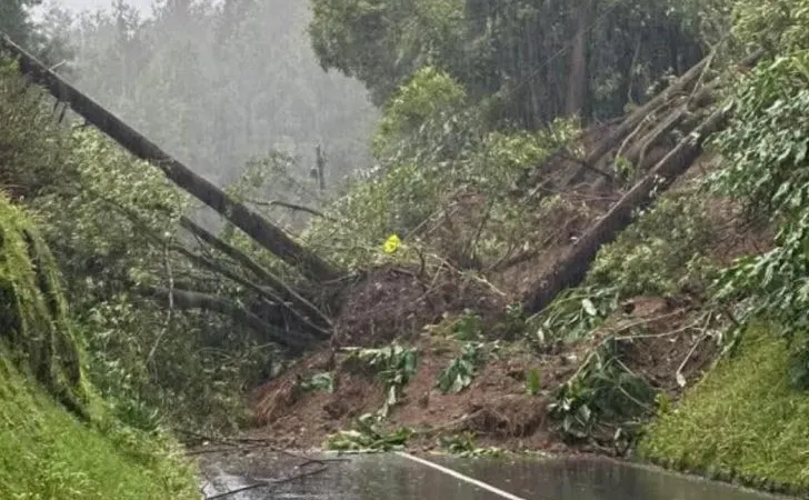 Foto Açoriano Oriental/DR