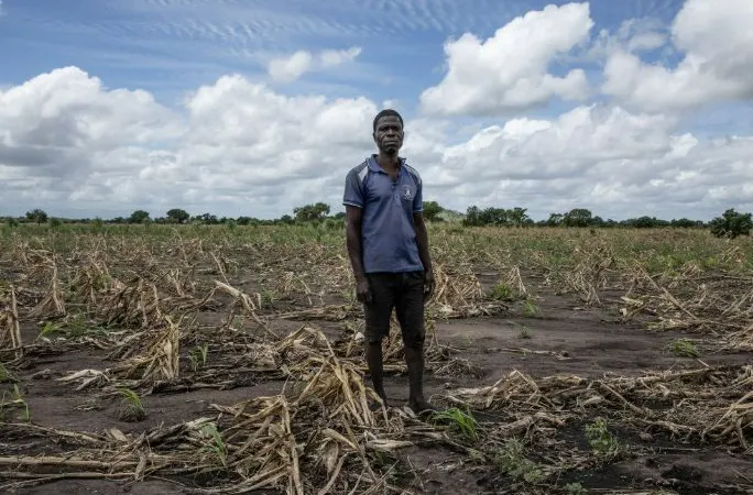 Fotos DR/ONU Moçambique