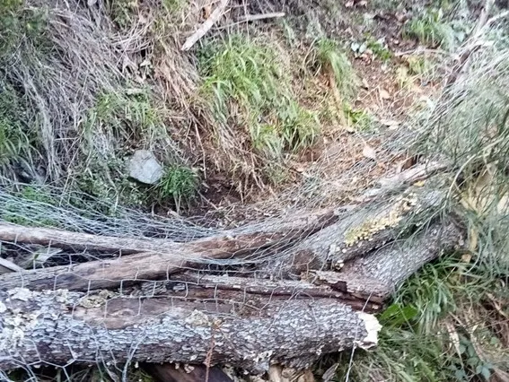 Fotos que mostram o curral onde estariam as ovelhas apreendidas e o declive dos terrenos em causa.&nbsp;