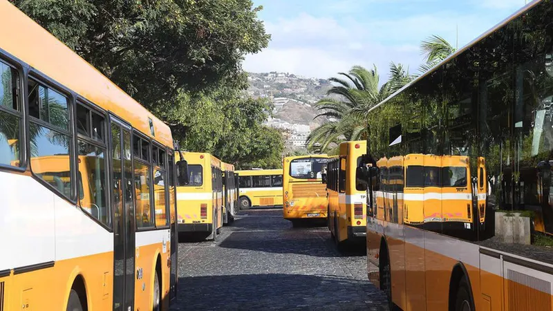 Algumas carreiras foram afectadas pela greve.&nbsp;