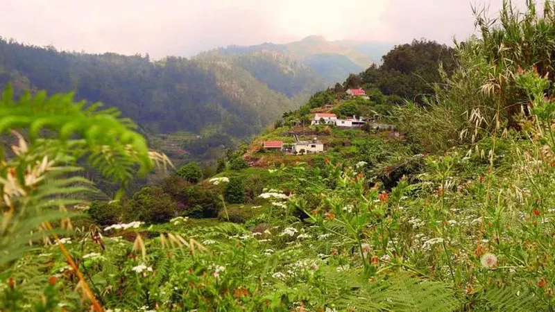 Fotos Estefânia Câncio