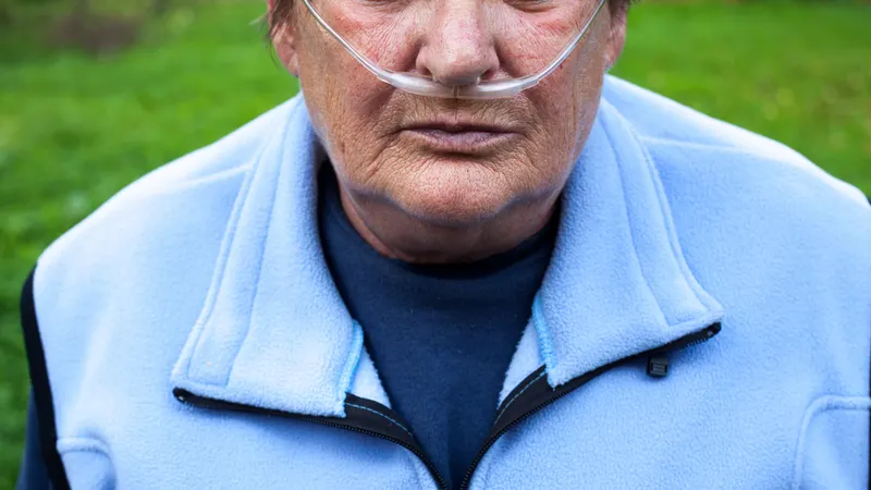 Foto Shutterstock