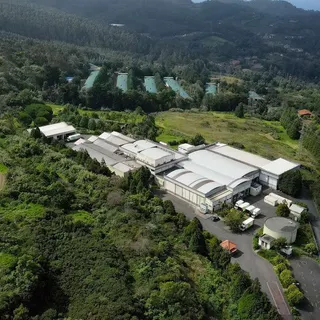 Foto Hélder Santos/ASPRESS