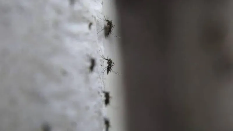 Foto Arquivo