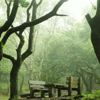 Parque Florestal do Chão dos Louros