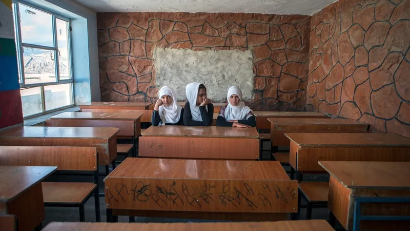 Foto Solmaz Daryani/Shutterstock.com