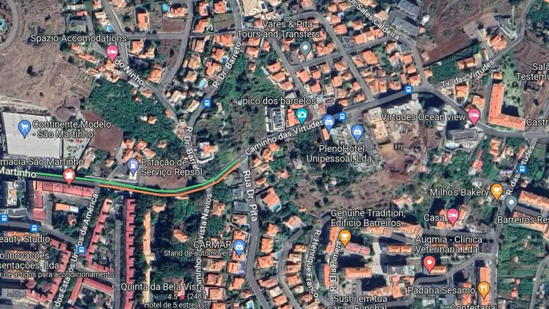 Foto Google Maps