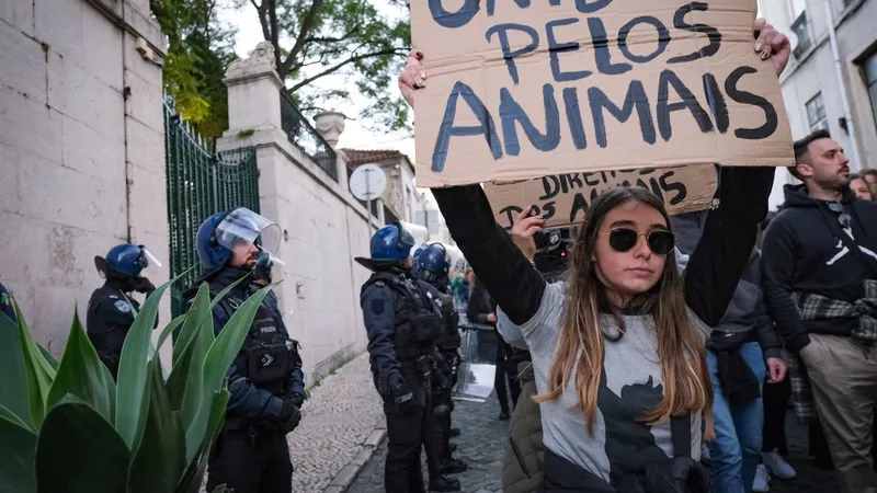 Foto&nbsp;RUI MINDERICO/LUSA