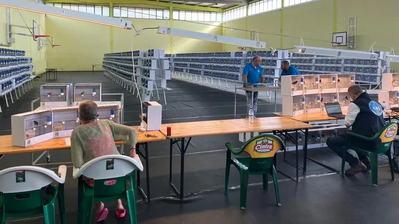 Foto DR/Facebook/Clube Ornitológico de Setúbal