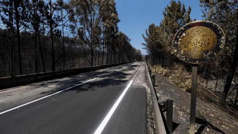 A maioria das vítimas morreu nesta estrada.   Foto Rui Oliveira/Global Imagens 