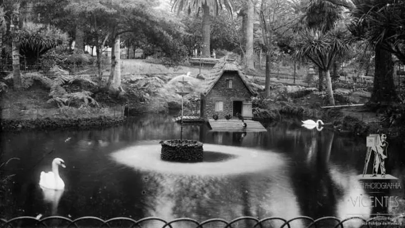 Photographia Vicentes 