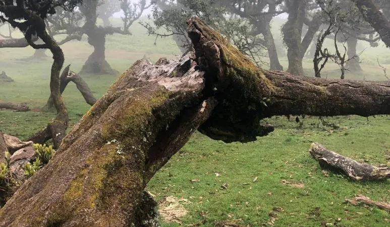 São vários os vídeos que acompanham a denúncia feita pelo 'Movimento Composto'.&nbsp;