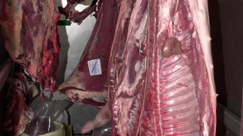 De acordo com ASAE, as contraordenações devem-se ao desrespeito das normas higiénicas e técnicas, falta de rastreabilidade de géneros alimentícios ou falta de rotulagem.