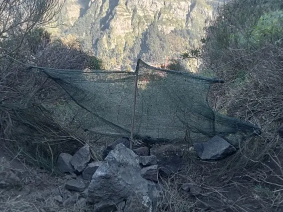 Curral onde estariam as ovelhas apreendidas pela Polícia Florestal na passada segunda-feira.&nbsp;