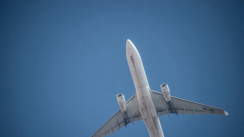 Foto&nbsp;Joseph Creamer/Shutterstock.com