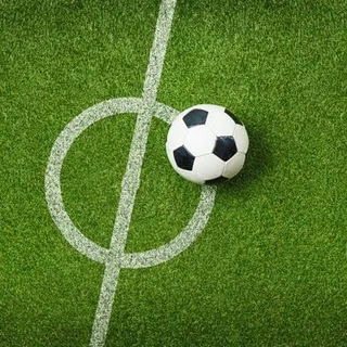 Foto Shutterstock