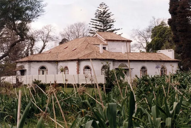 Antiga quinta tipicamente madeirense esteve, durante vários anos, votada ao abandono.